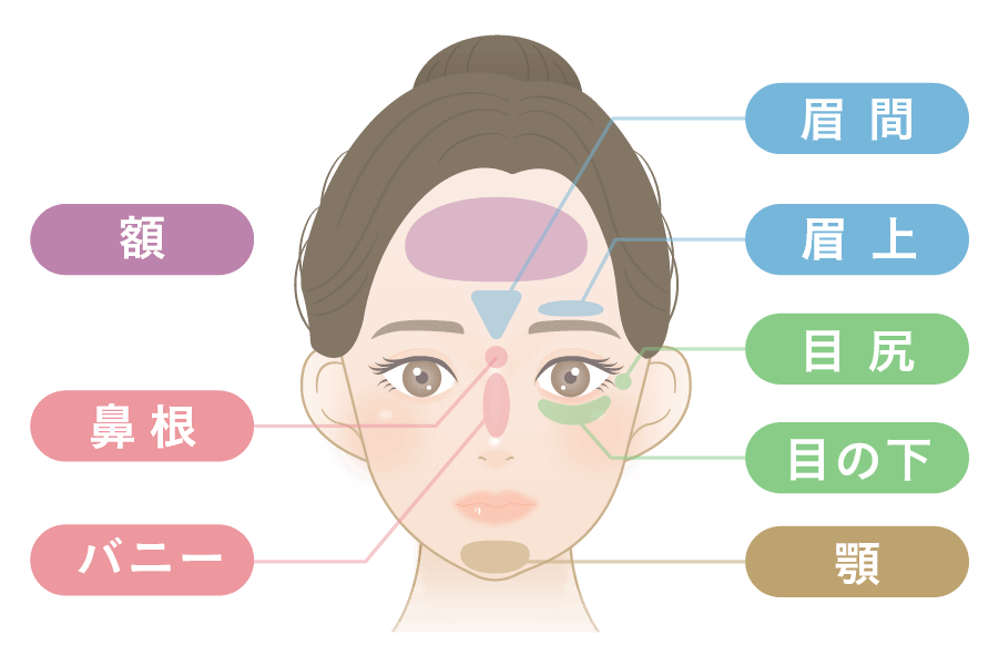 表情ジワの基本部位