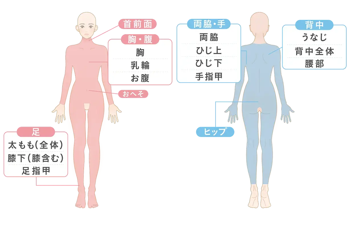 全身の施術部位