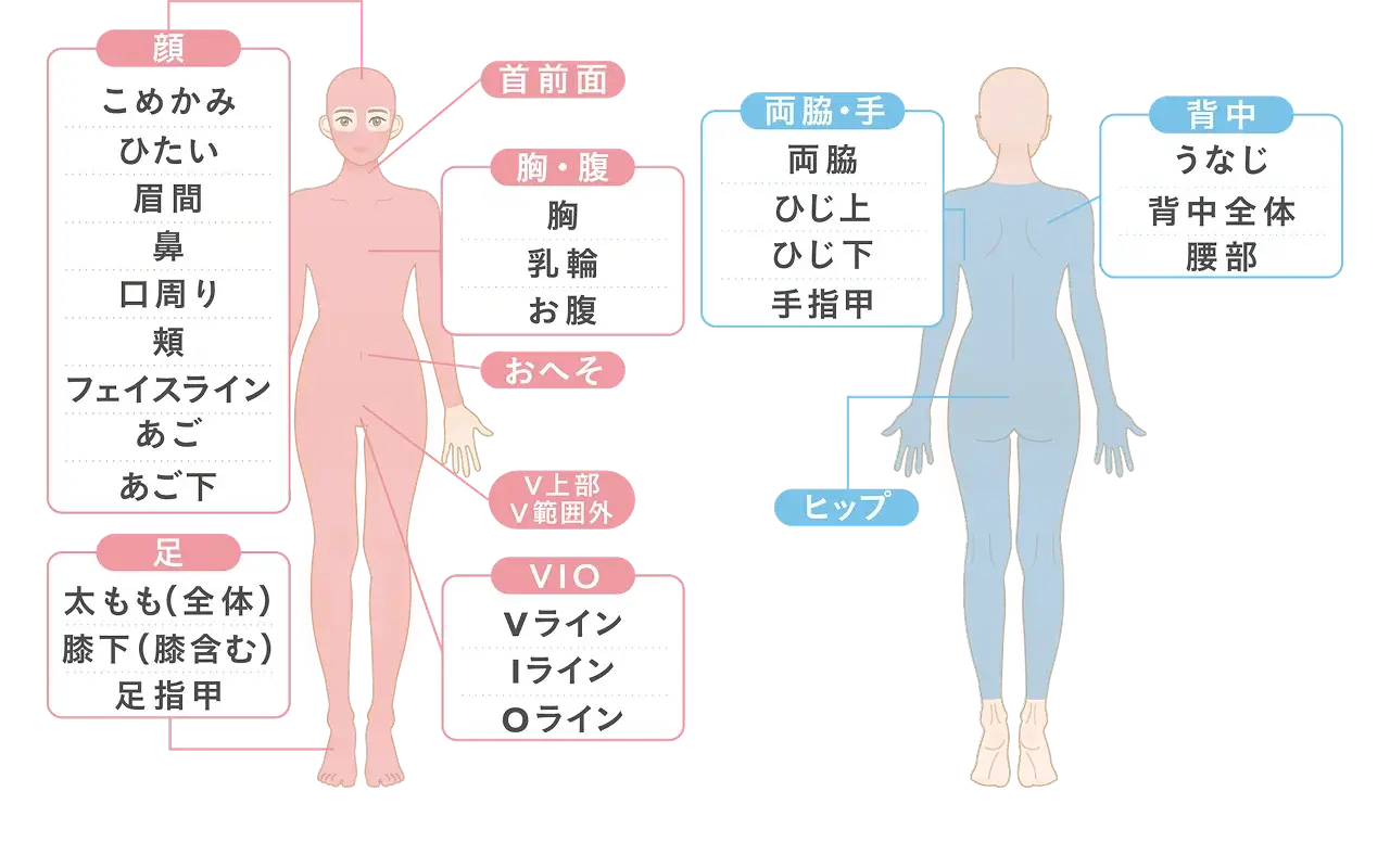 全身+顔+VIOの施術部位
