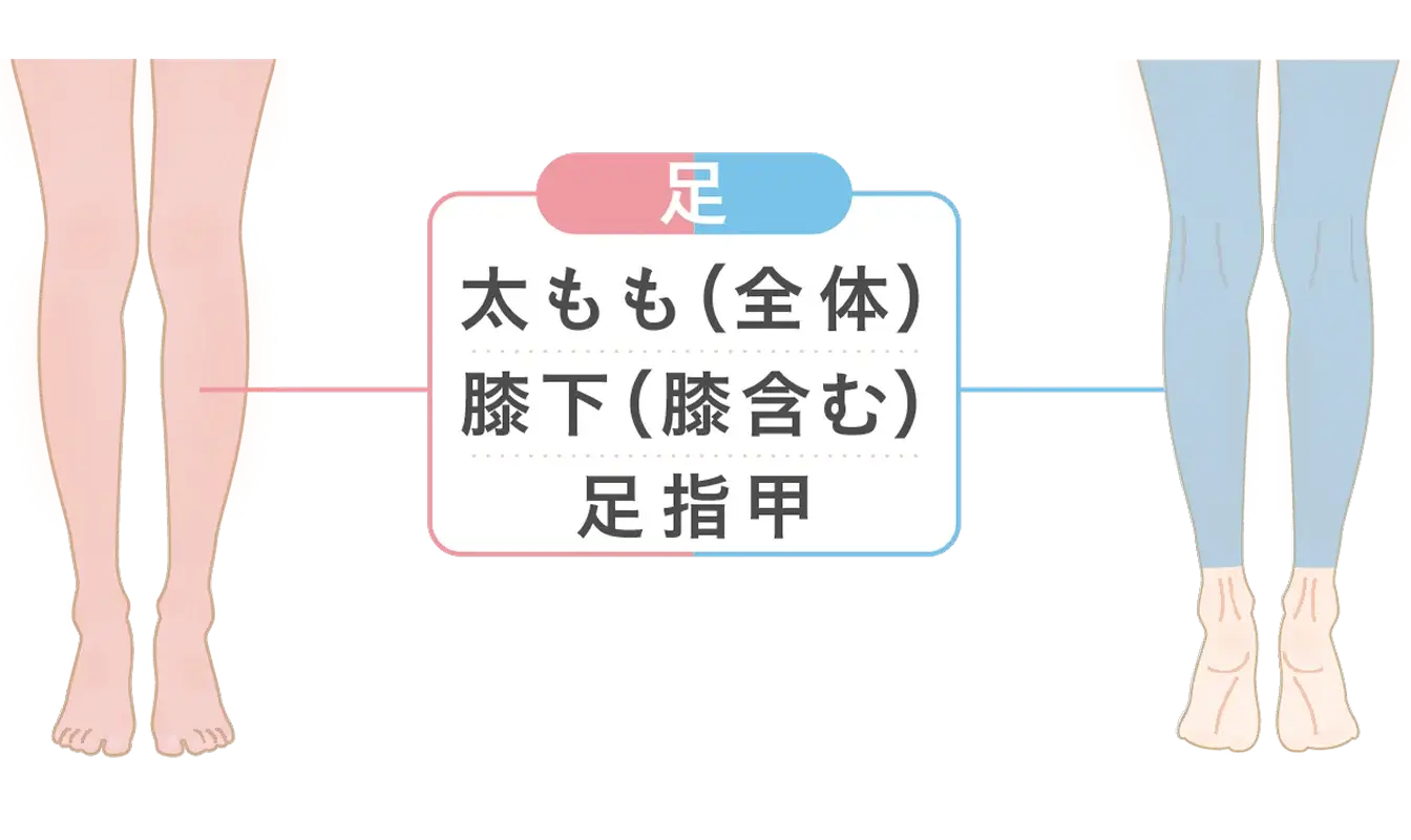 下半身の施術部位
