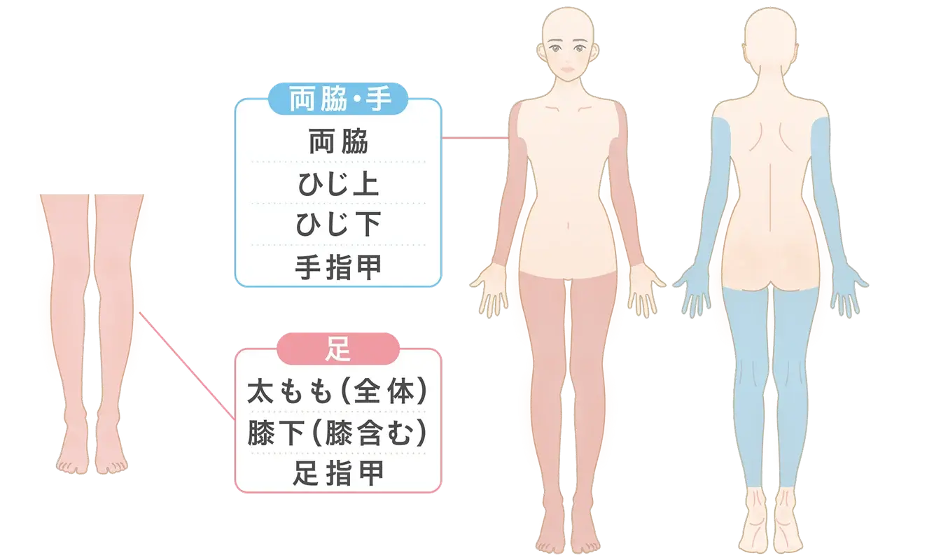 両脇+手+足の施術部位