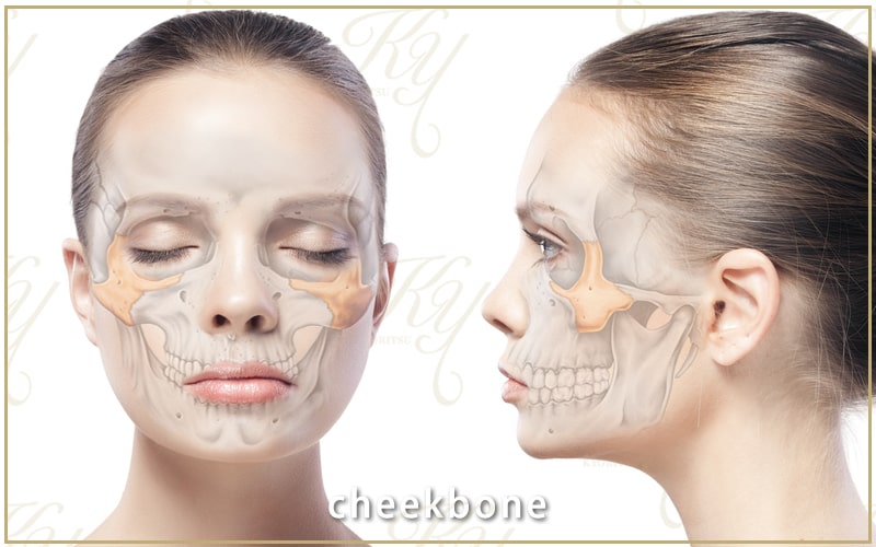 頬骨削りの輪郭形成術の値段や手術方法について 共立美容外科