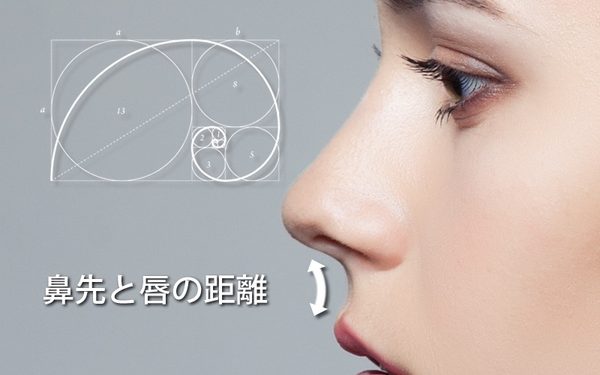 女性の横顔と、鼻先と唇の距離の比率イメージ