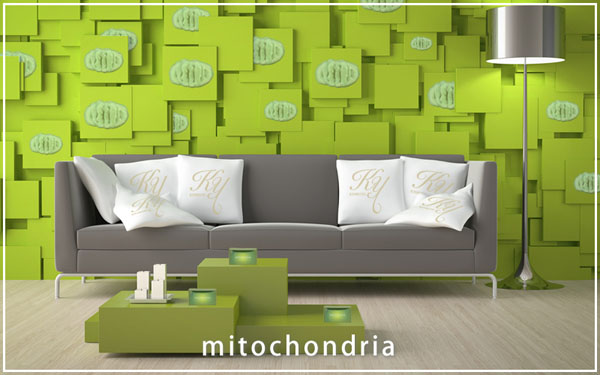 ミトコリーナ | 疲れ予防、エイジングケアのサプリ | 共立美容外科