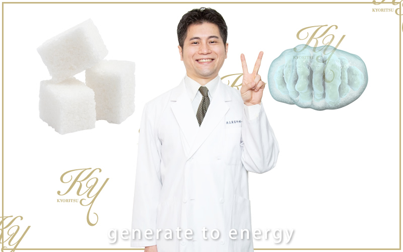 ミトコリーナ | 疲れ予防、エイジングケアのサプリ | 共立美容外科