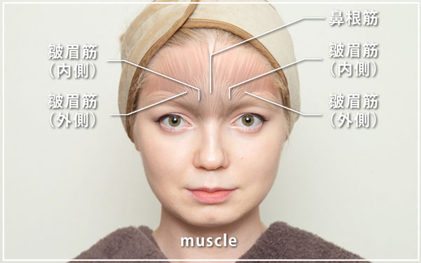 眉間のシワのボトックス注射 効果と副作用を解説 共立美容外科